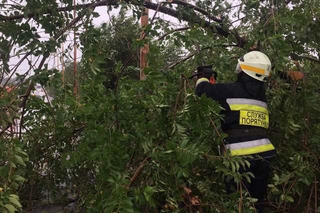 � ����� ������������ �������� ������� ������