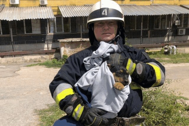 � ������ ��������� ���������� ������, ������� ����� � �������