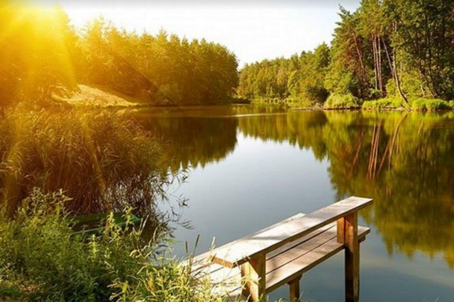 Какой будет погода в Днепре на нынешней неделе