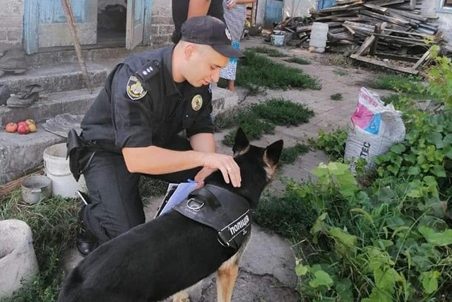 � ����������� ����������� � ������ ��������� � ���, ������ � �������� 70-������ ����������� 