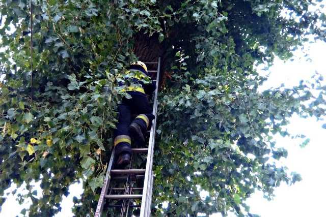 � ������ ��������� ����� ����, ������� ����� �� ������ �� ������ 6 ������