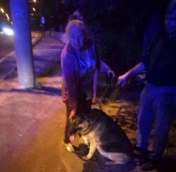 � ������ ��������� �������� �� ����������������� ������� ������� � ��� ������������� �����