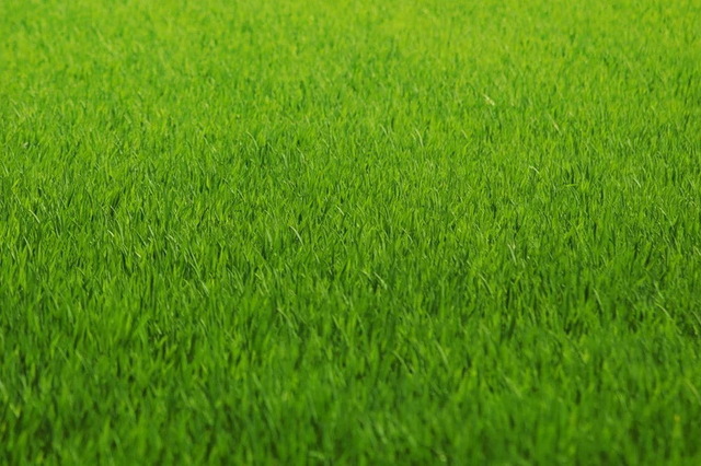      '    