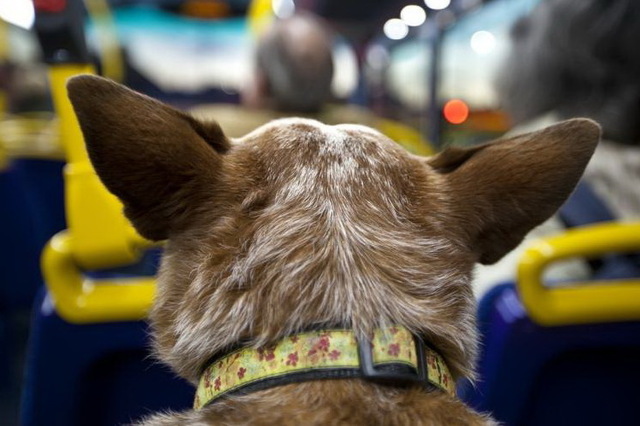 � ��������� ��-�� ��������� � ������� ������� ���������������� ������ ��������