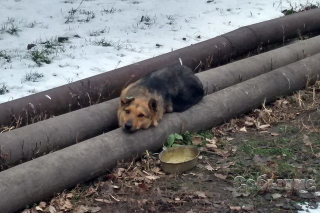 ��������� ����������� ������� ��������� 5 ��� ������ ����� �����������