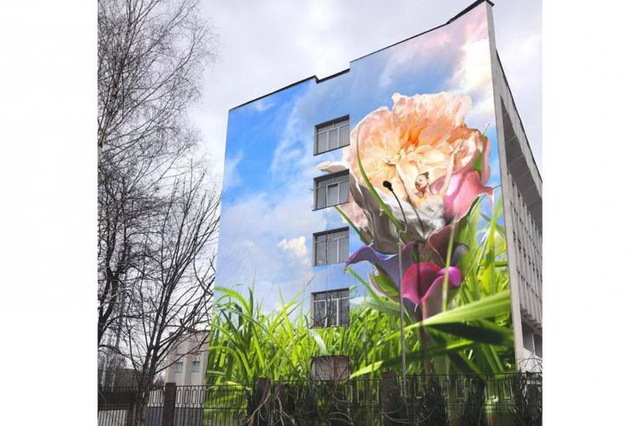 Бюджетная комиссия не оценила мурал, который появится на Центре внешкольной работы в Каменском