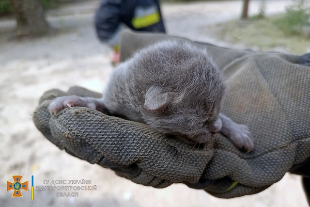 � ������ ����������� ���� ��������� ����� ������������� �����, ����� ������� ������� �� �������