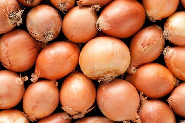 Луковый бум: что ожидать от цен на лук