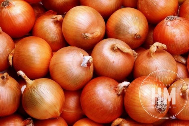 У Дніпрі різко впали ціни на цибулю: що прогнозують експерти надалі