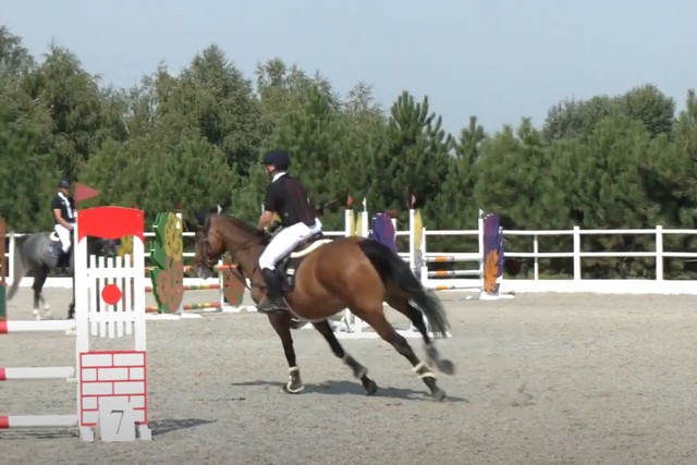  100   񳺿 :         Klimenko stable