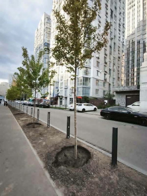 У Дніпрі почали озеленяти Крутогірний узвіз