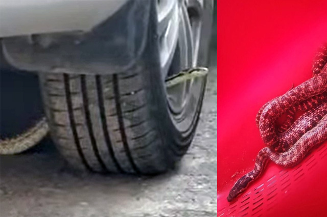 � ����� � �������� ������� ����������� ���