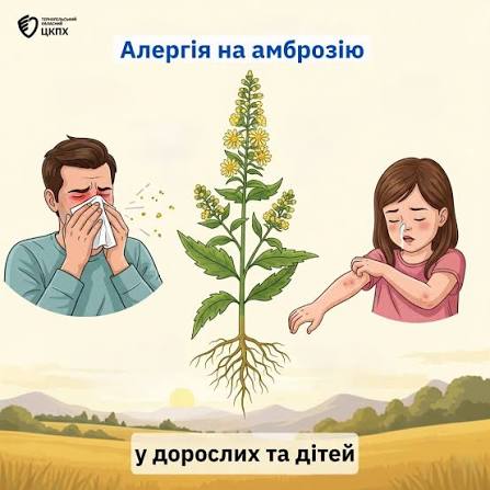 ����������� �������� �������� ������ �������� �� ����㳿