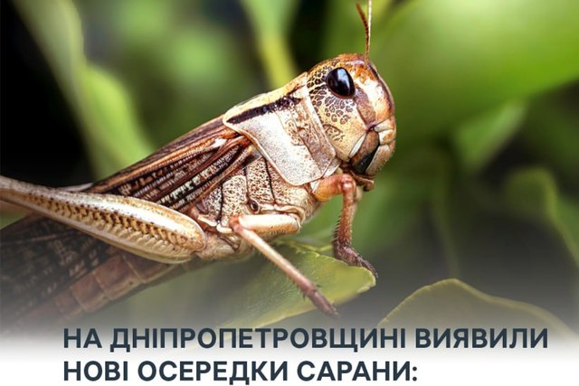 �� ���������������� �������� ��� �������� ���������: ������������ ��������� ����� ������� ������
