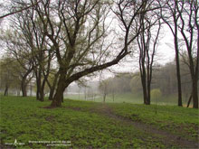 � ��� �������� �� �� ������� ������-��������� ��������� ������������������ ��������