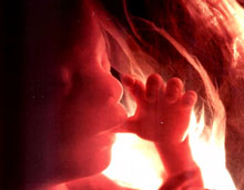 ���������� ������� �� ������� �������� �� ��������