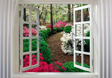 ���������� ������� � ���������� � ������ ������� ��������