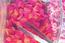 ������ �������� ������� ��������������� ����� �������� � �������