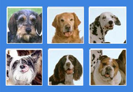 ������� ������������� ����� �� ������ ����������!