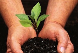 �� �������� ���������������� ������� ����������� ��� ����� ������� ��������