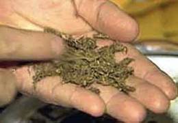 �� ���������������� ������ ���������� ����� �� ������� ������