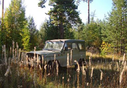 ����������������� ������� �������� ������