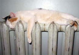 ������ ���������������� ������� ������ ������������ ����� �������