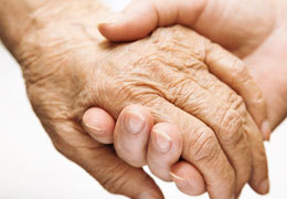 � ���������������� ������ ������� �������������