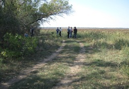 � ���������������� ������� ��-�� ����� ������� �� ������ ����� ��������������