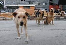 ������� ���� �� ��������� ������������� ��������� �������� ��������