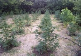 ����� �������� ���� � 2012�