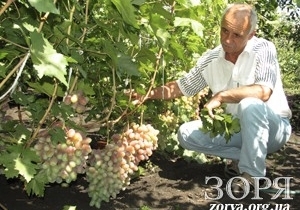 ����� � �������� ��������� ������������ ������ 120 ����� �� 84 ����� ���������