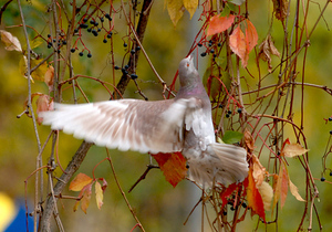 ����� ���� �����. ��������� ��������, ��� � ������� ������ ���������� �� 20�� �����