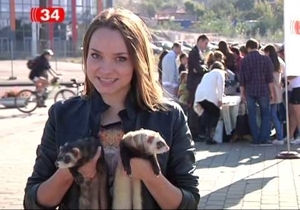 �������������� � ������ ����� �������� ����� �������� ��������