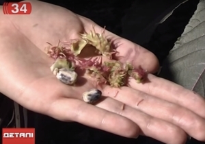 � ���������� ���� ����� ���������� ������� �������� �� ��������� ������