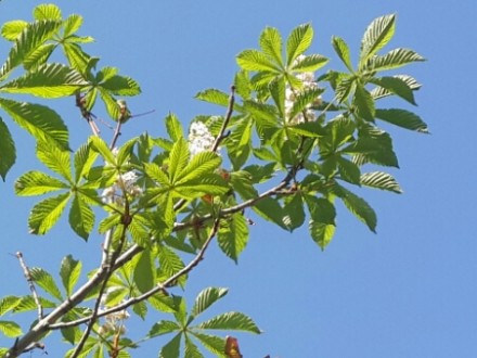 ��-�� ������� �������� � ��������������� ����� ������� �������