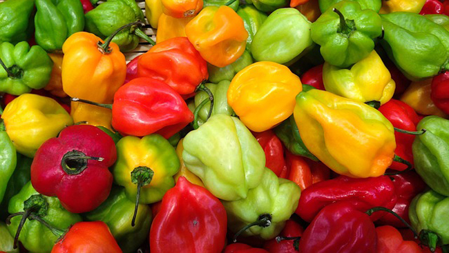 Изменения цен и тарифов на потребительском рынке Днепропетровской области в августе 2016 года