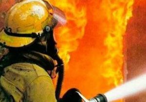 � ������ �� ����� ������ � ����������� ��������� ����� 7-��������� ������� �� ������������ ���������