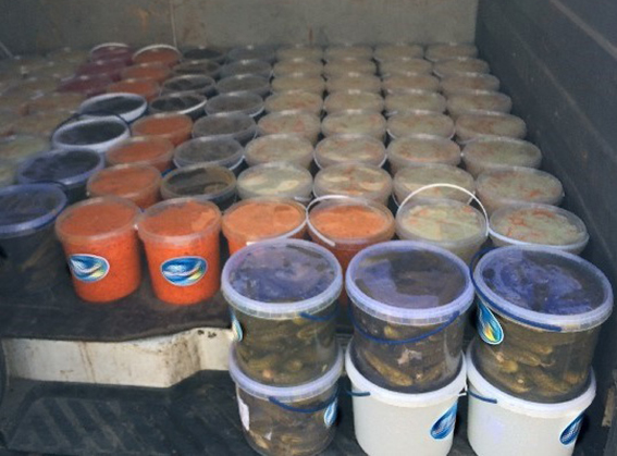 В Днепре изготавливали салаты «по-корейски» с нарушением санитарных норм