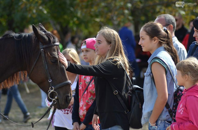 На Левобережье Каменского устроили фестиваль
