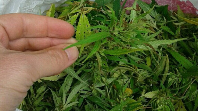 � ��������� ��������� ������� � ������� ���������