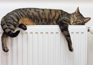 �������� ���������������� ��������� ������ � ������������� ������