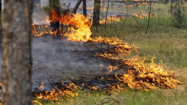  �� ���������������� ��������� 