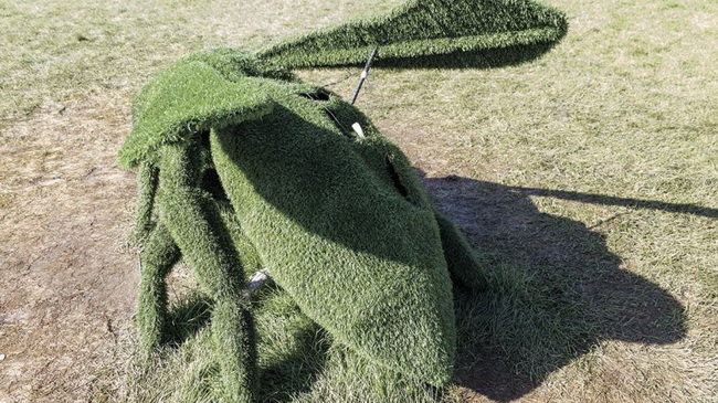 � ���� ������ � ��������� ���������� �����