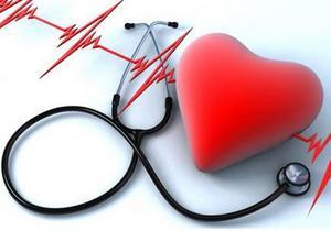 ��� ������������ ��������-���������� �����������