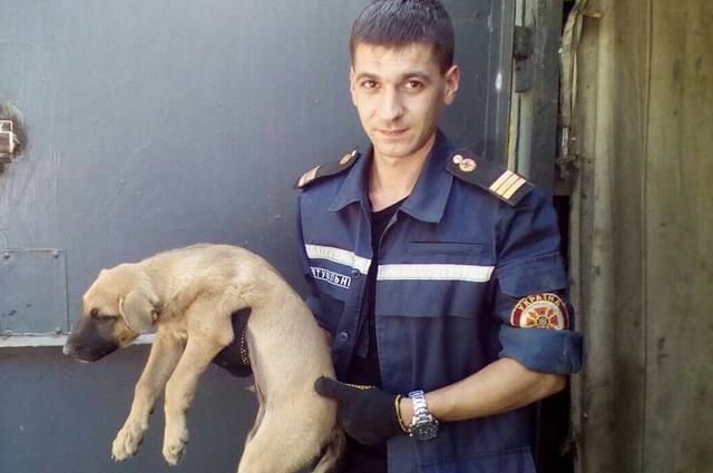 � ������ ��������� ���������� �����, ����������� ����� �������������� ��������