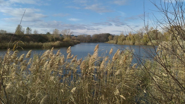 � ��������� ������ ��������� ������������� ������