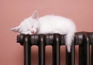 ������������ ����� � ��������� �������� � ����� �������