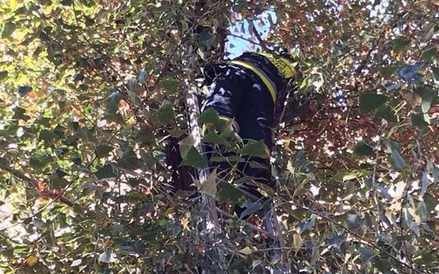 � ����� ����������� ���� ����� ���� � ������