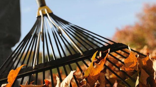 60 ����� ���������� ������ ������ �� ��� ���������������� �� ��������� ���������